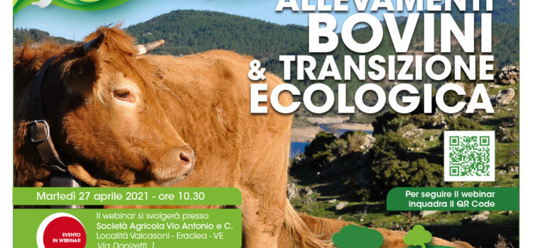 Innovazione – Allevamenti bovini e transizione ecologica